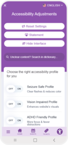 accessibility widget